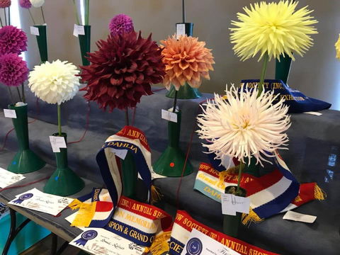 Kiama Show - Darwin Holiday 2