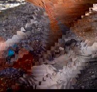 Learn all about Australia's Hidden Treasures - The Kimberley - Darwin Holiday