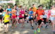 MAAS Group Dubbo Stampede Running Festival - thumb 0