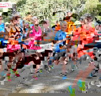 MAAS Group Dubbo Stampede Running Festival - Darwin Holiday
