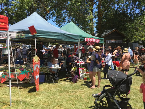 Macclesfield Strawberry Fete - Darwin Holiday 1