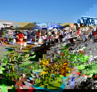 Maclean Macmarket Day