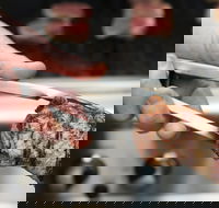 Meat BBQ Cooking Class - Darwin Holiday