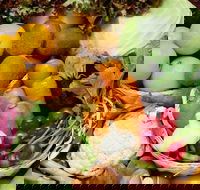 Midland Farmers Market - Darwin Holiday