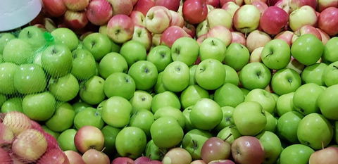 Midland Farmers Market - Darwin Holiday 1