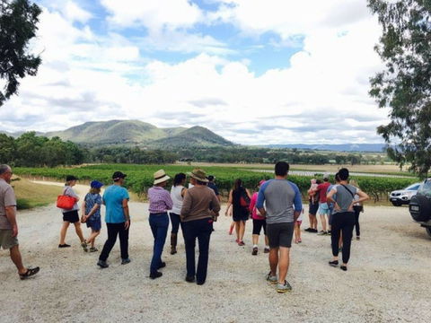 Mudgee Farm Walks - Darwin Holiday 1