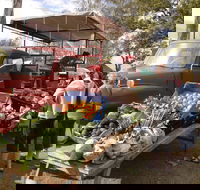 Murphys Creek Markets - Darwin Holiday