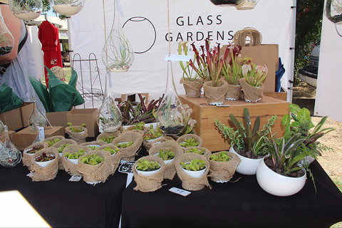 Murrabit Country Market - Darwin Holiday 1