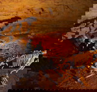 Naracoorte World Heritage Festival and Run