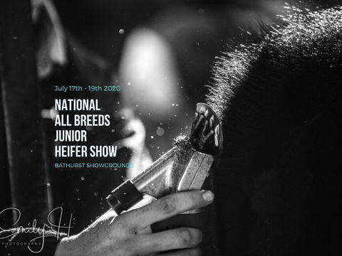 National All Breeds Junior Heifer Show - Darwin Holiday 0