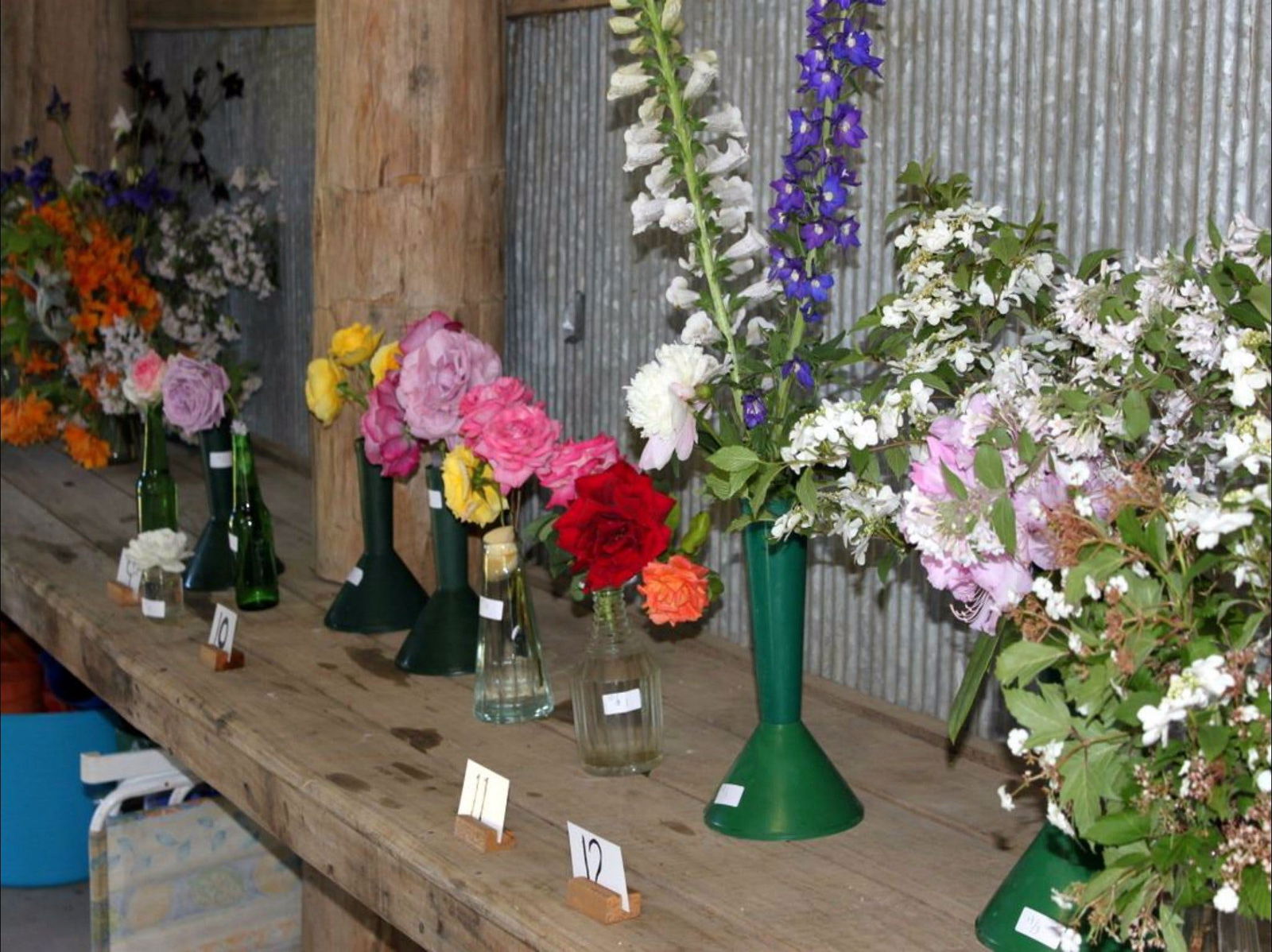 Vittoria NSW Darwin Holiday