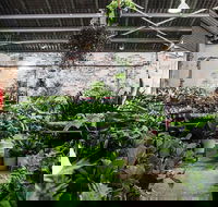 Newcastle - Huge Indoor Plant Warehouse Sale - Christmas Bonanza - Darwin Holiday