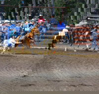 North Queensland Elite Rodeo - Darwin Holiday