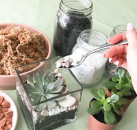 Online live streaming class Make Your Own Terrarium - Darwin Holiday