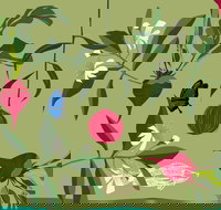 Oseanica Culinary Art - Darwin Holiday