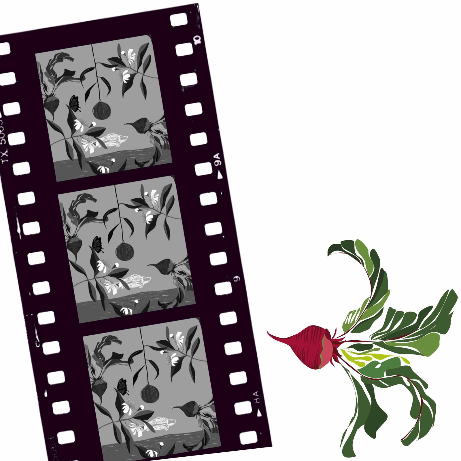 Cairns North QLD Darwin Holiday