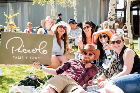 Owen Toyota Murrumbidgee Music Festival - Darwin Holiday 1