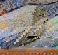 Peter Teakle Wines - Darwin Holiday