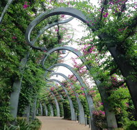Photography Class / Tour of Brisbane - Darwin Holiday