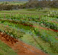 Razorback Ridge Wines Open Weekends - Darwin Holiday