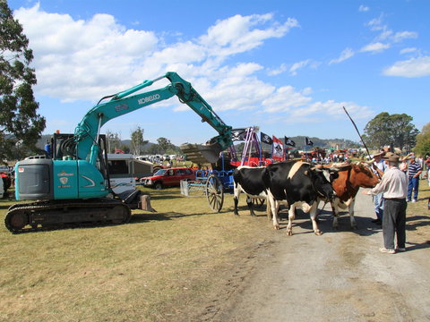 SteamFest 2021 - Darwin Holiday 0