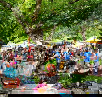 Stirling Laneways - Darwin Holiday