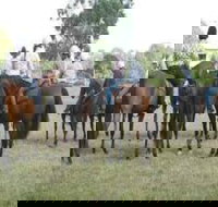 Stroud Show - Darwin Holiday