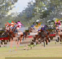 Thangool Races - Darwin Holiday