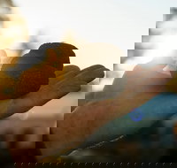 The Truffle Festival - Canberra Region - Darwin Holiday