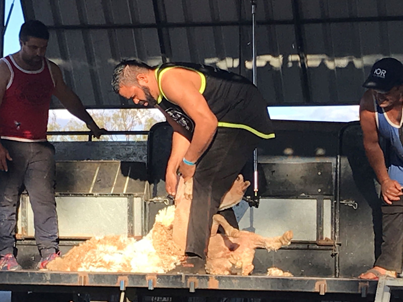 Nockatunga QLD Darwin Holiday