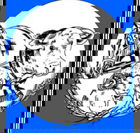 The Manildra Show - Darwin Holiday