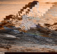 The Bay Games - Jervis Bay - Darwin Holiday