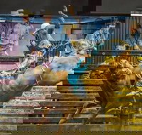 Top Gun and Young Gun Series Round 9 - Darwin Holiday