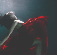 Tristan und Isolde - Darwin Holiday