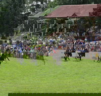 Tumut Boxing Day Races - Darwin Holiday