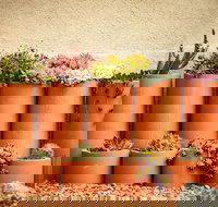 Tumbarumba Spring Flower Festival - Darwin Holiday