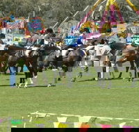 Wangaratta Show - Darwin Holiday