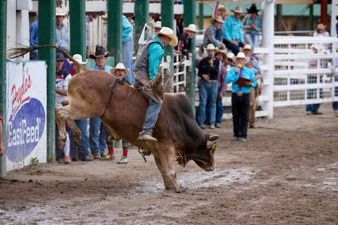 Warwick Rodeo National APRA National Finals And Warwick Gold Cup Campdraft - Darwin Holiday 1