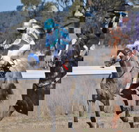 Wean Picnic Races - Darwin Holiday