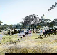 Weddin Mountain Muster - Darwin Holiday