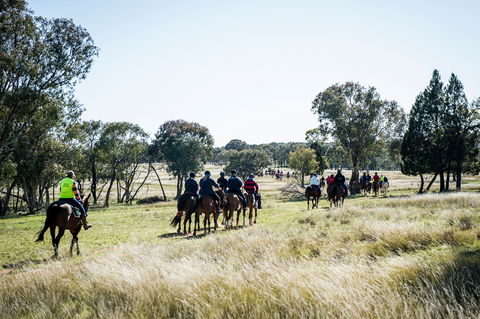 Weddin Mountain Muster - Darwin Holiday 0