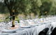 Whispering Brook Olive Long Table Luncheon - thumb 0