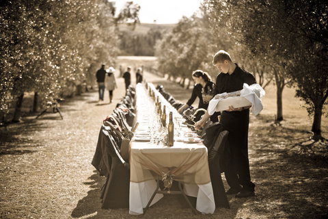 Whispering Brook Olive Long Table Luncheon - Darwin Holiday 1