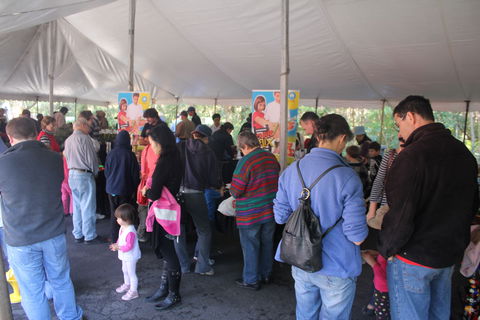 Wildflower Art And Garden Festival - Darwin Holiday 0