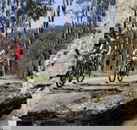 Wollombi Wild Ride Mountain Bike Ride - Darwin Holiday