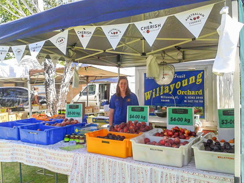 Young And Region Farmers Markets - Darwin Holiday 1