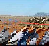 2020 Quorn Cup - Darwin Holiday