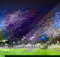 Adelaide Parklands Art Prize  Finalists Exhibition  Sale 2020 - Darwin Holiday