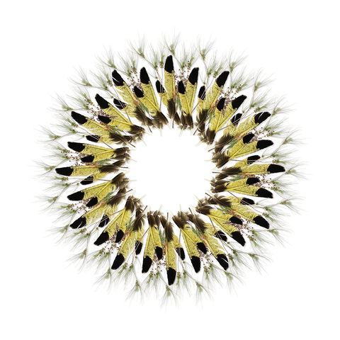 Adelaide Parklands Art Prize  Finalists Exhibition & Sale 2020 - Darwin Holiday 1