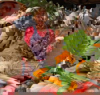 Albany Farmers Market - Darwin Holiday